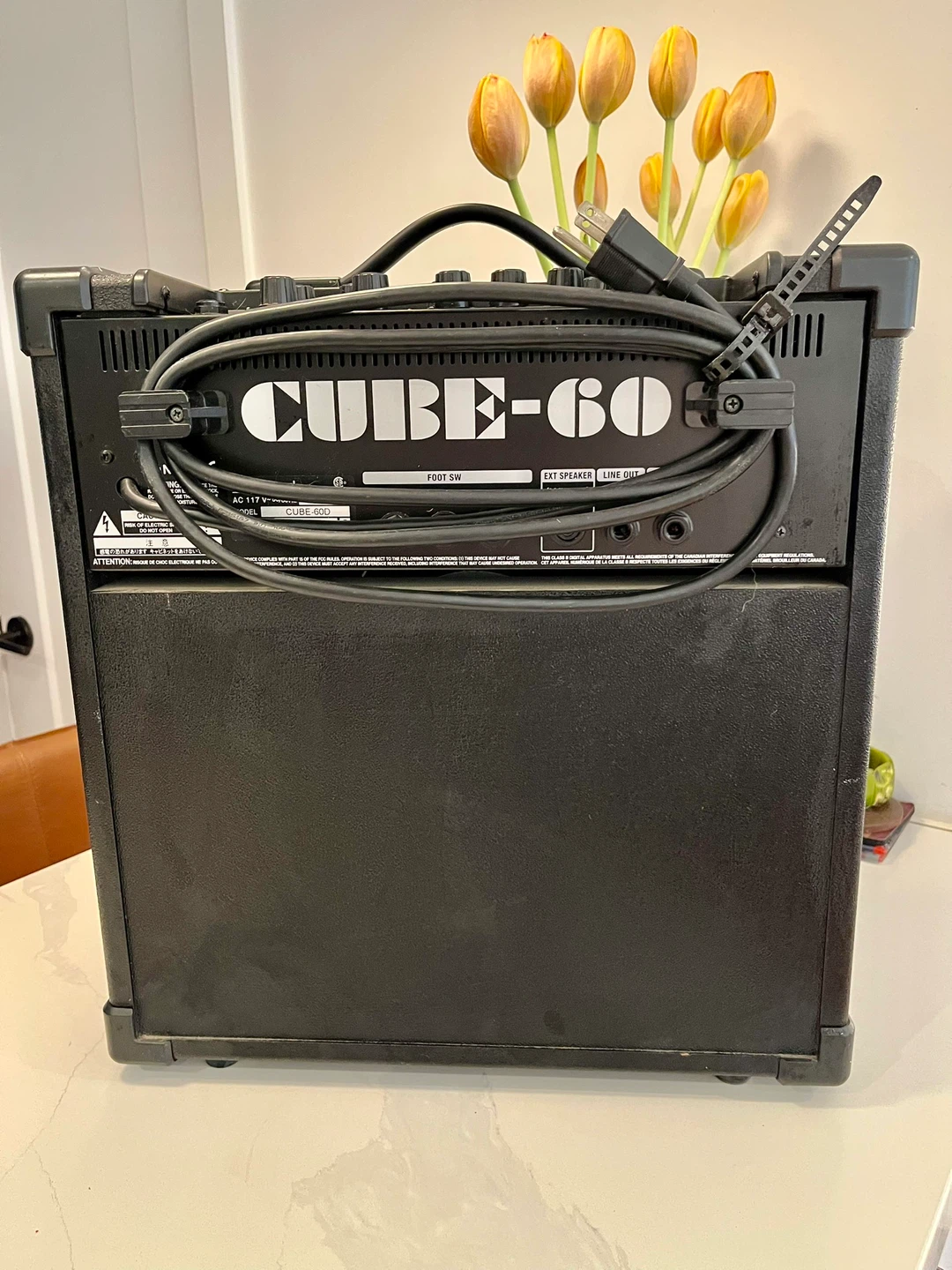 Roland CUBE-60 Guitar Amplifier - photo 2