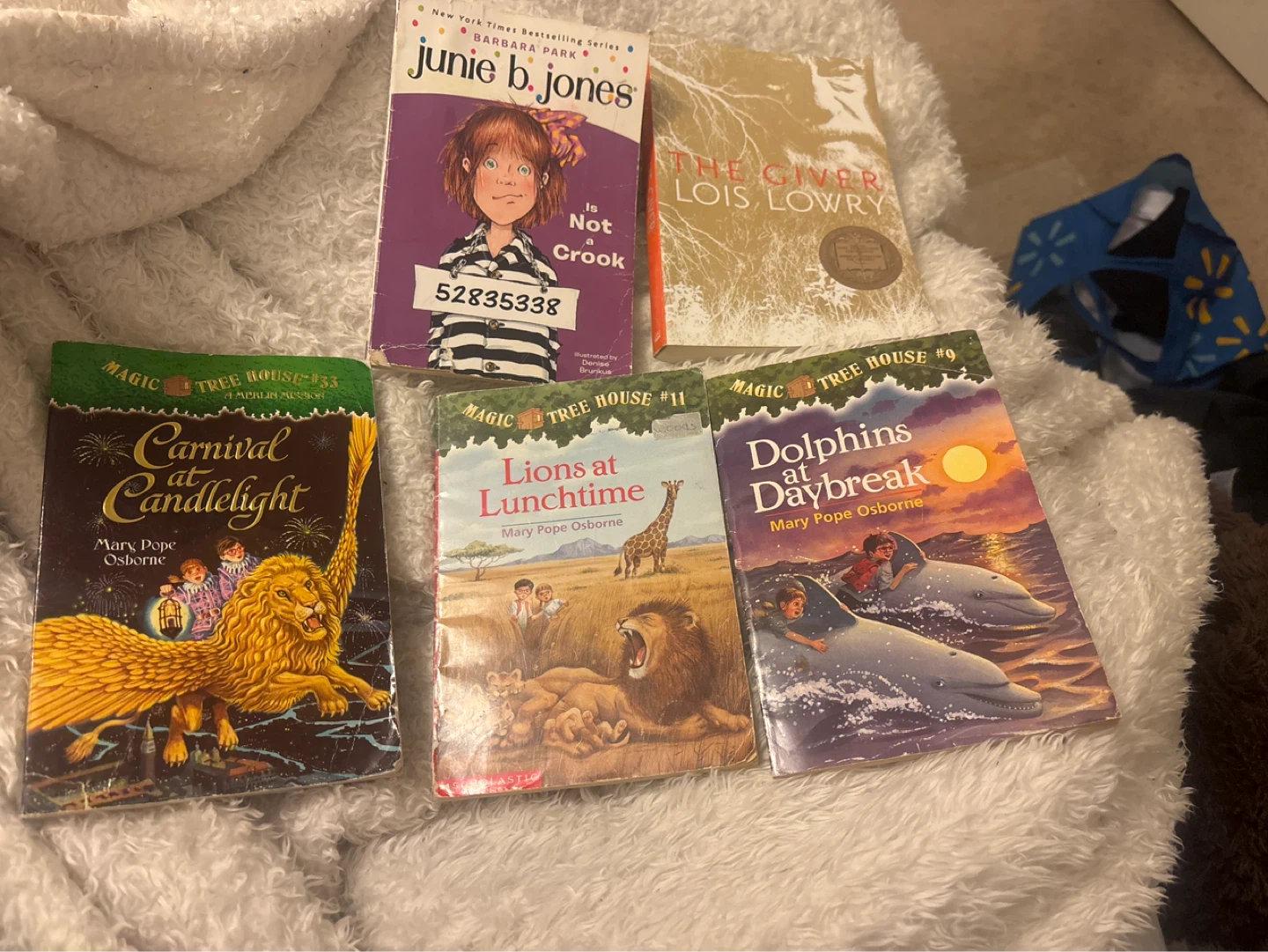 Junie B. Jones, The Giver, and Magic Tree House Books