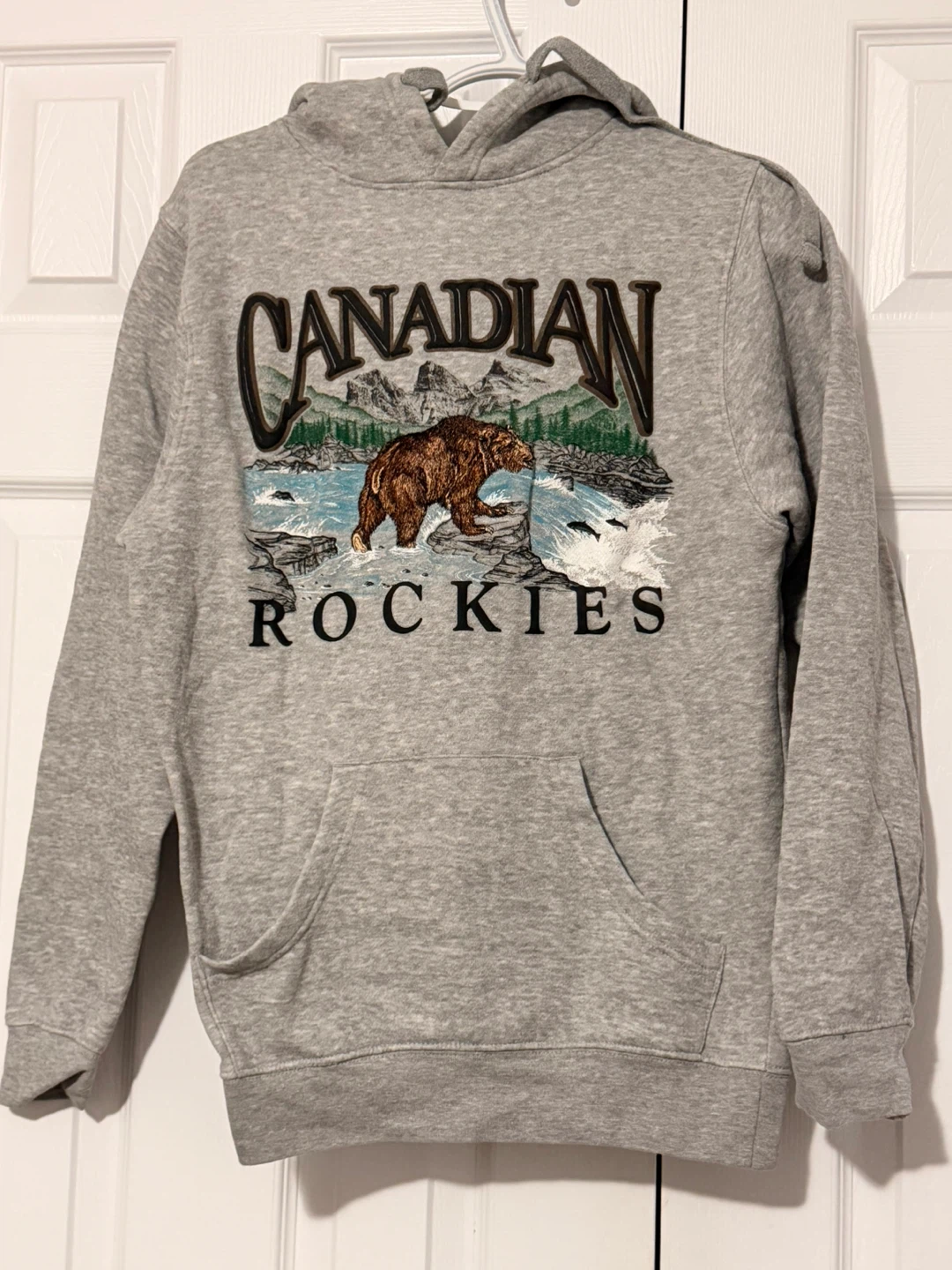 Grey Canadian Rockies Hoodie size small