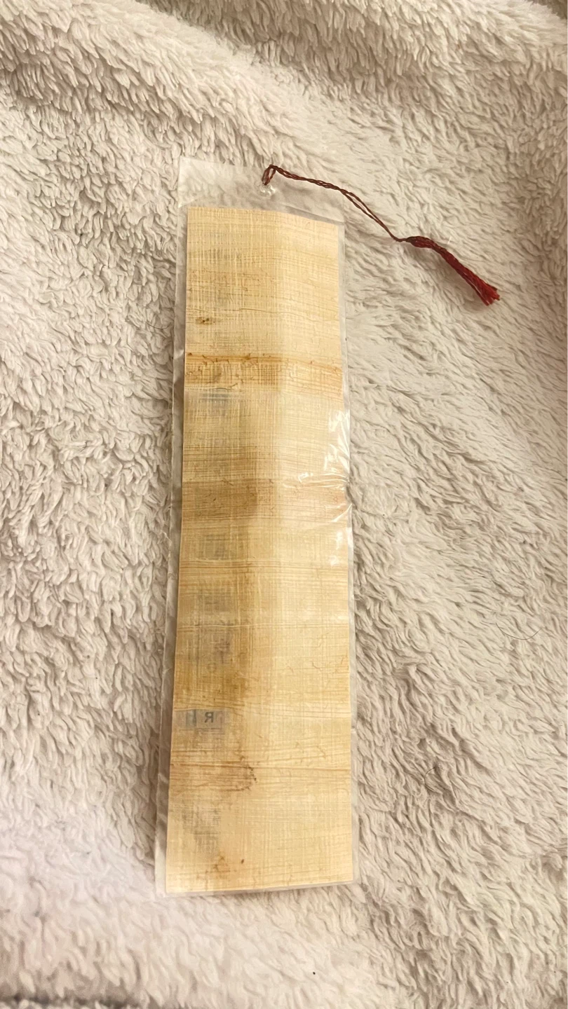 Papyrus Ancient Egyptian King Tut Hieroglyphics Bookmark - photo 2