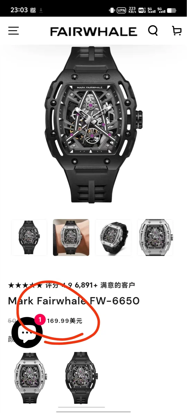 Mark Fairwhale FW-6650 Skeleton Automatic Watch - photo 4