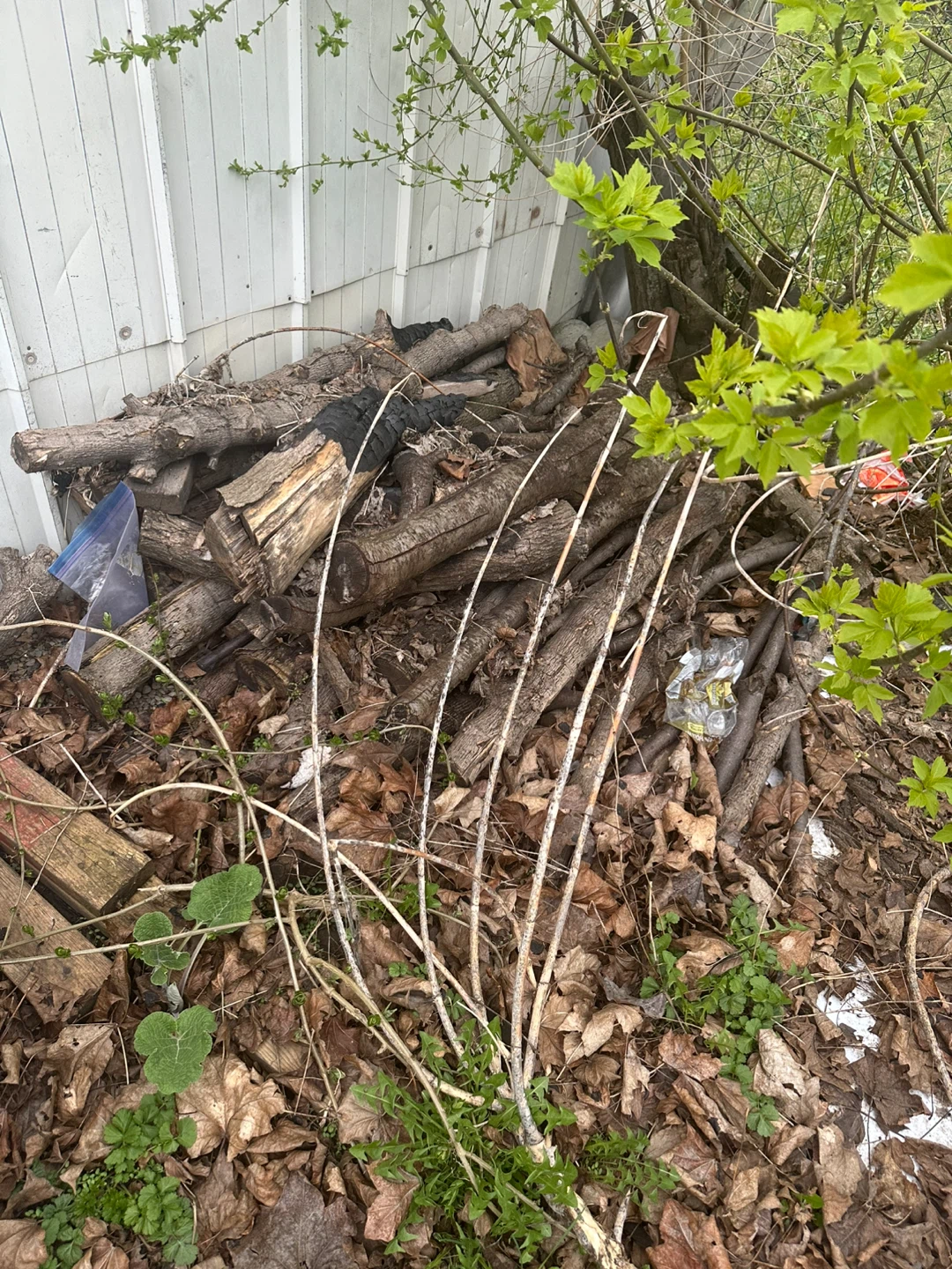 Firewood bundle