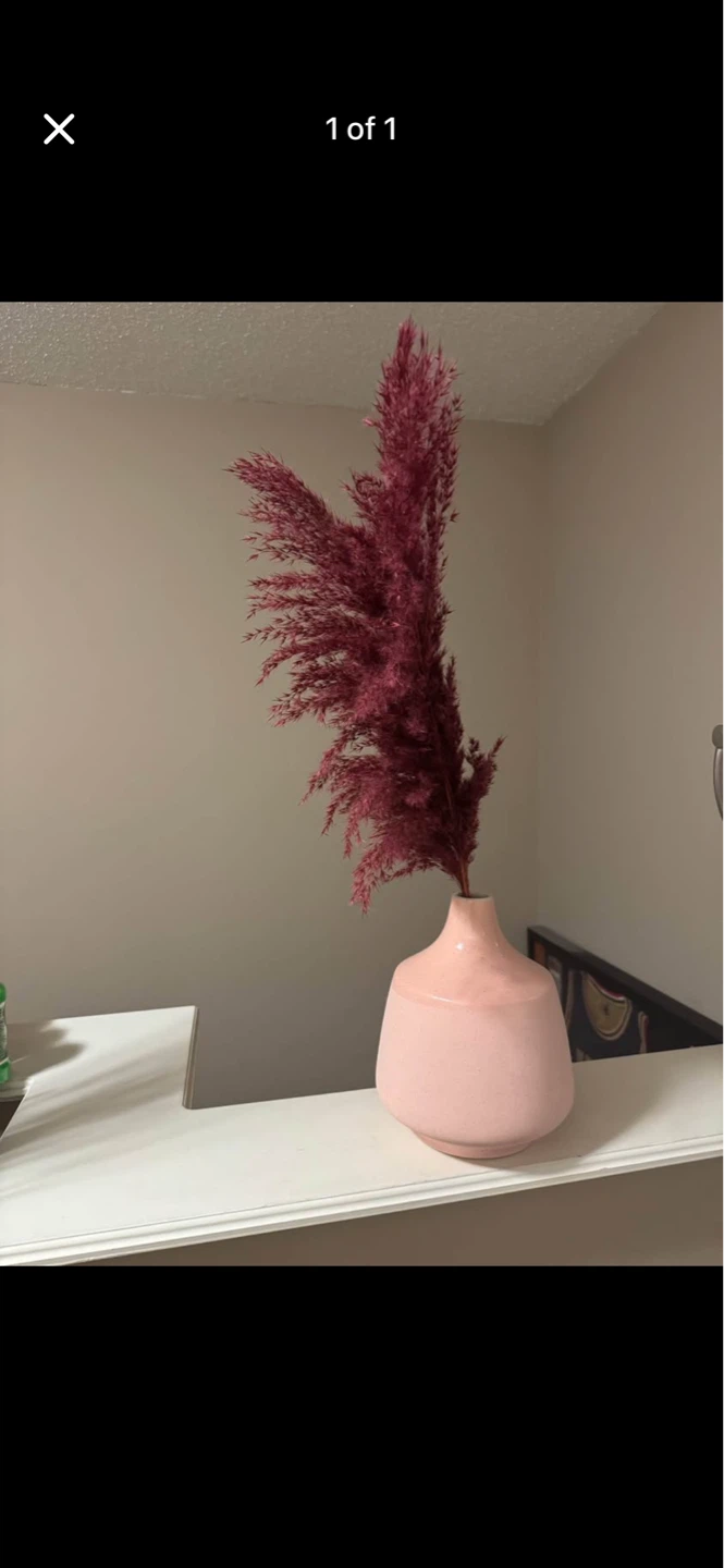 Pink Ceramic Vase with Burgundy Pampas Grass