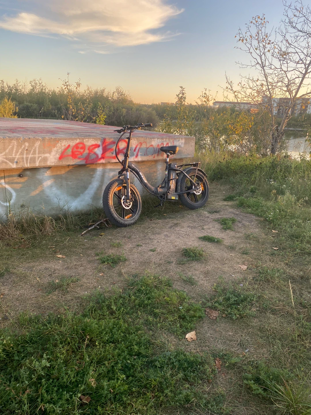 Electric Fat Tire Bike - photo 3
