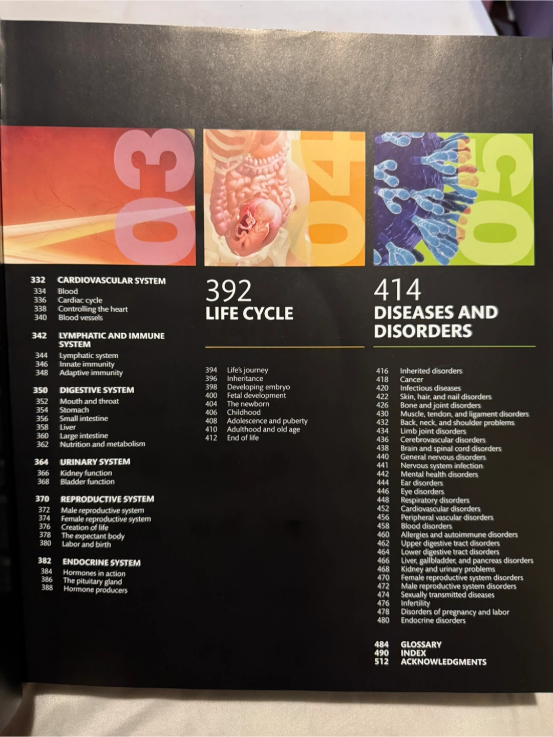 DK The Complete Human Body DVD-ROM and Book - photo 5