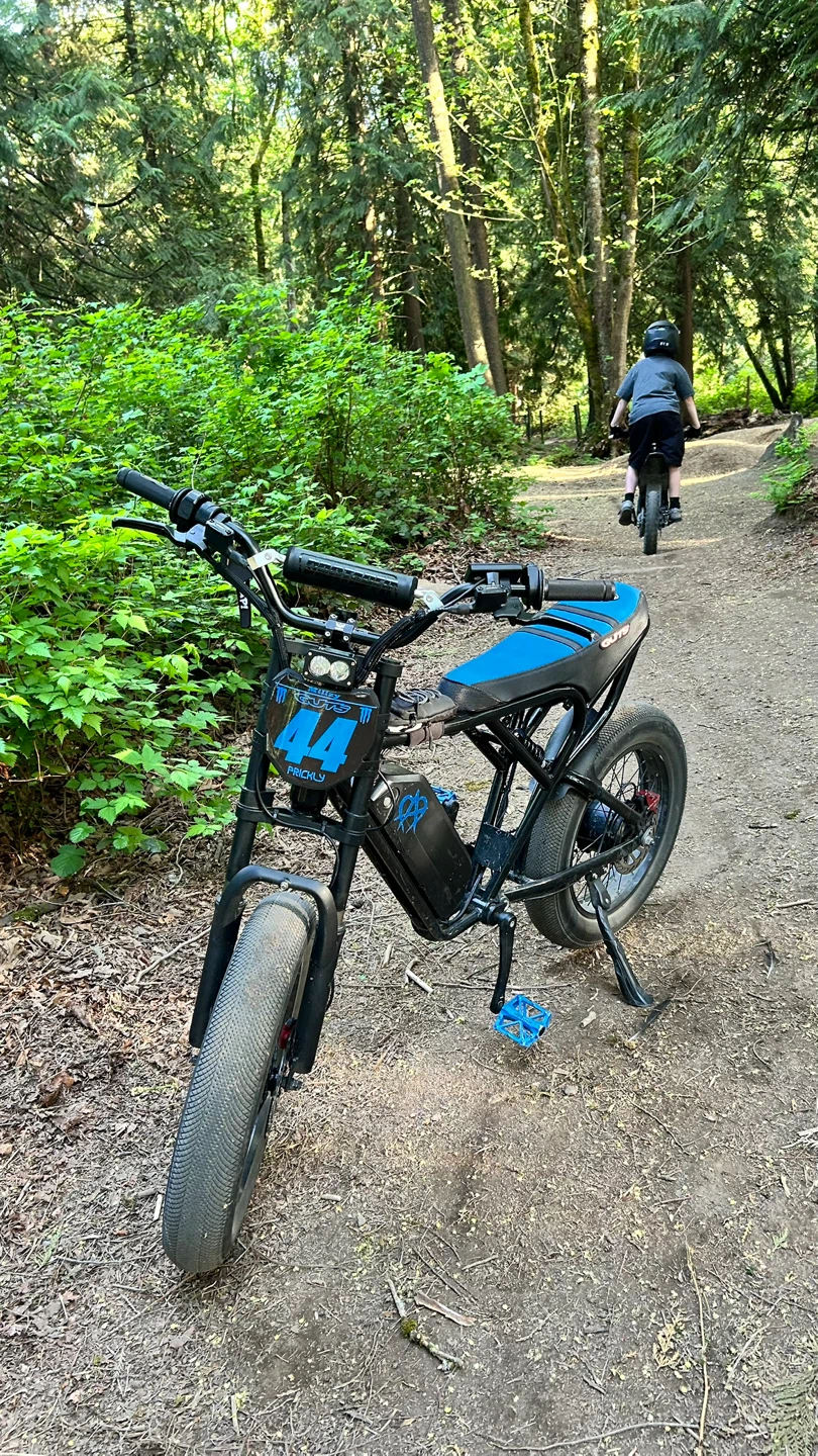 ridstar q20 1500w  eBike