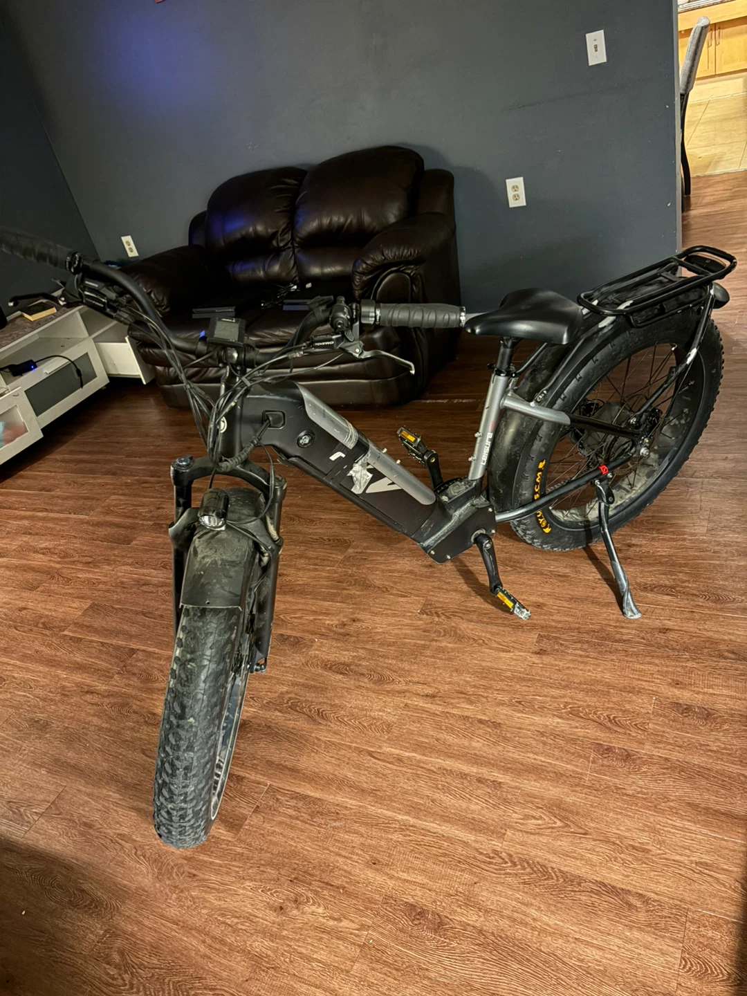 LEISURE STEP Fat Tire Electric Bike