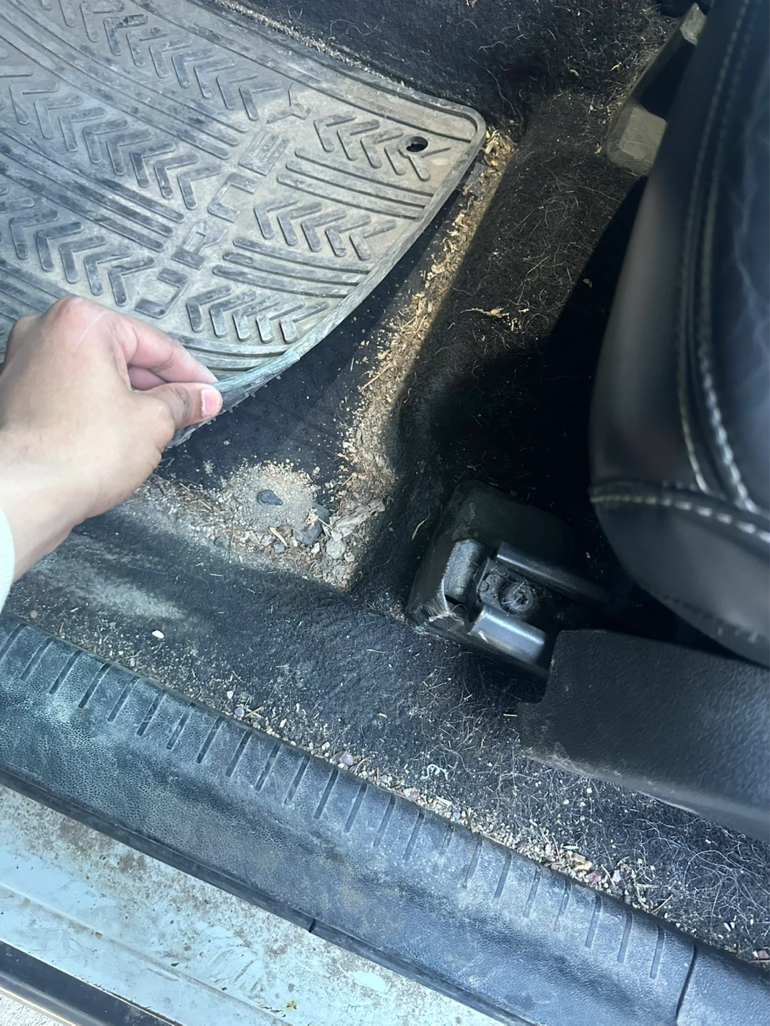 Auto detailing