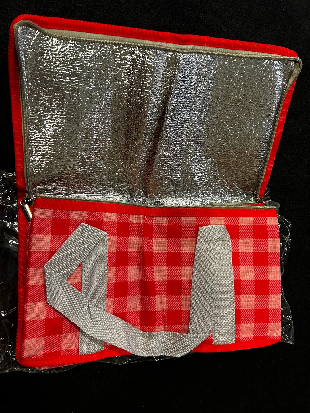 Insulated Picnic Lunch Bag