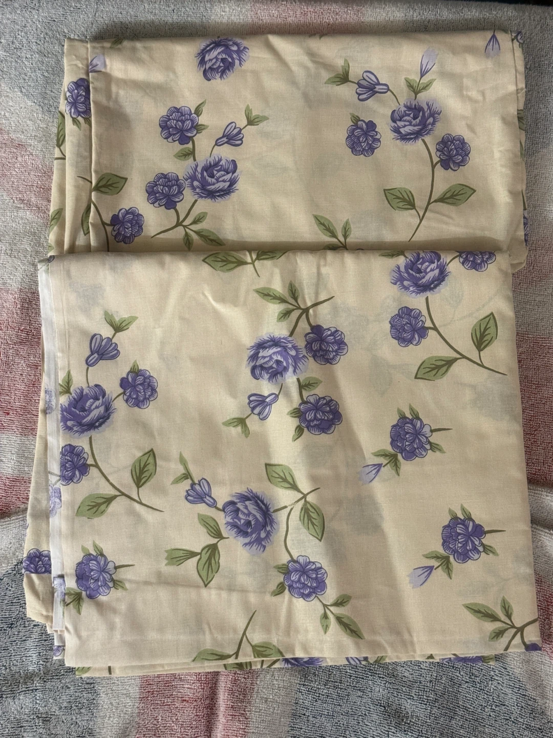 Dora the Explorer and Frozen themed fabric pieces - photo 3