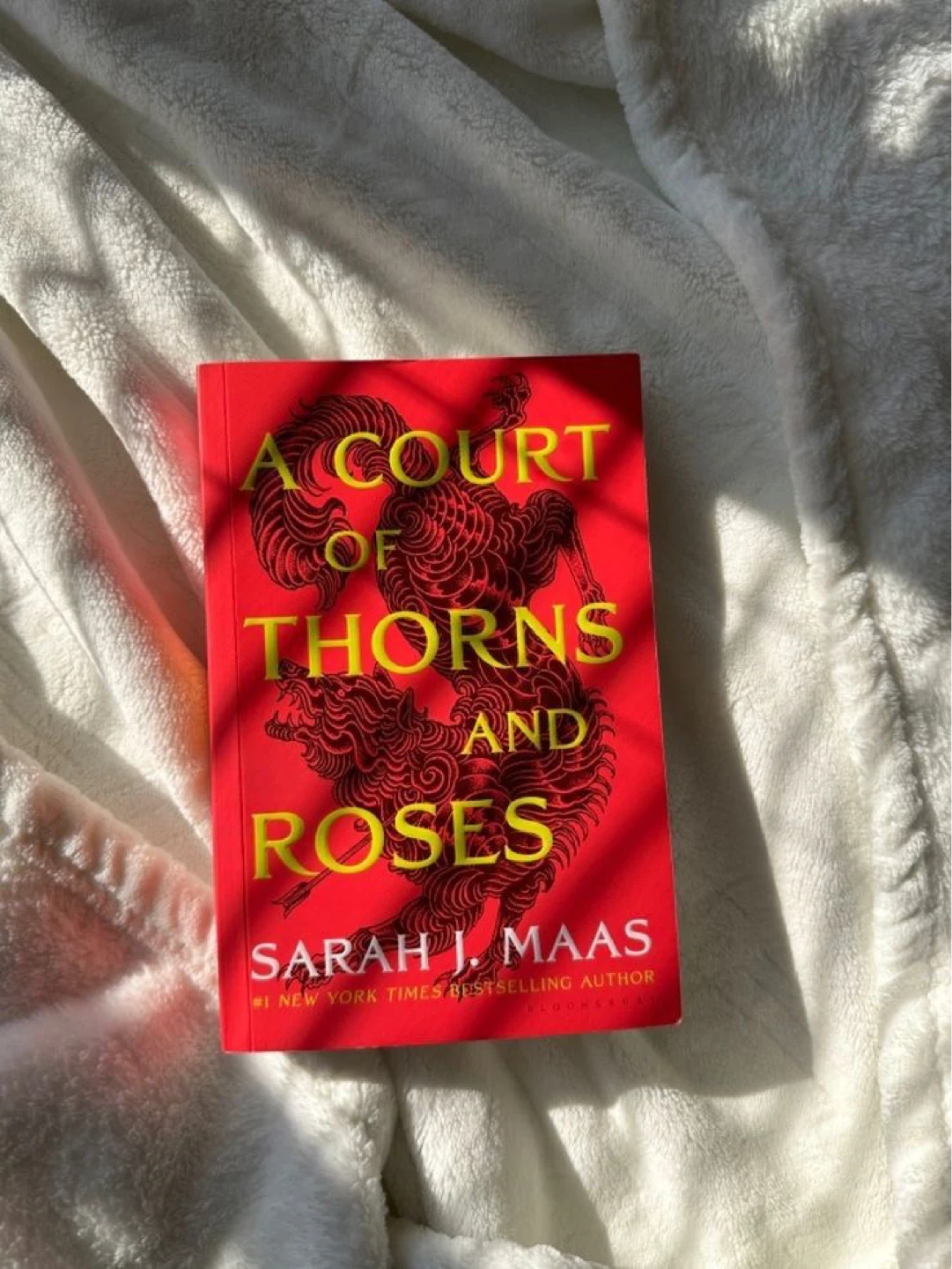 A Court of Thorns and Roses Book