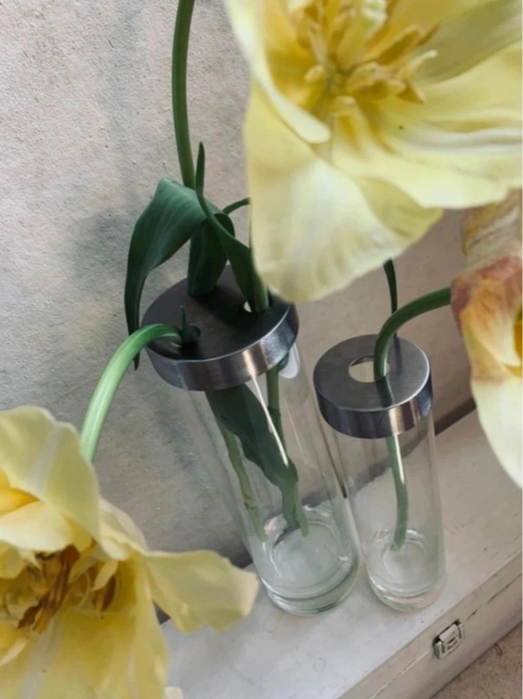 Glass Vase- Set of 2 - photo 3