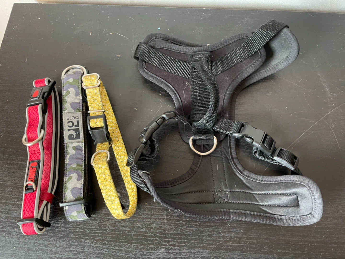 Medium Dog Harness & Collars