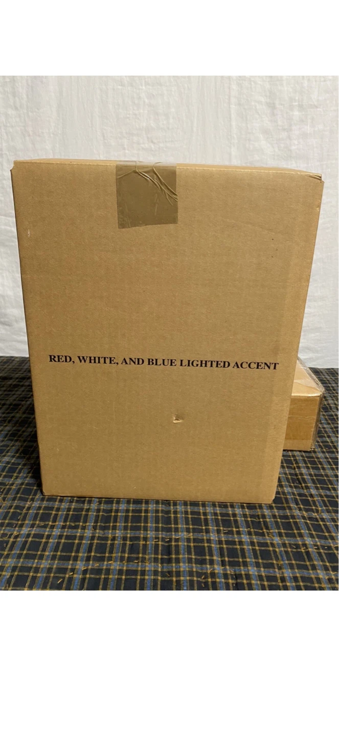 Red, White, and Blue Lighted Accent Set - photo 5