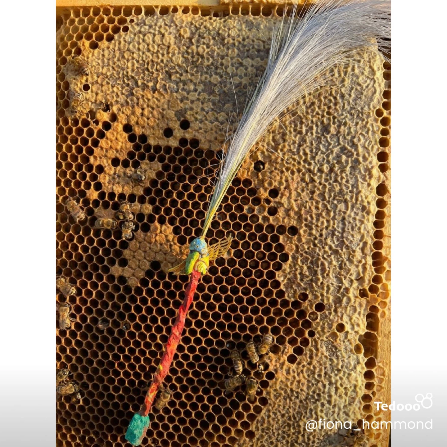 Cat Toy Wand with Feather and Bee Charm