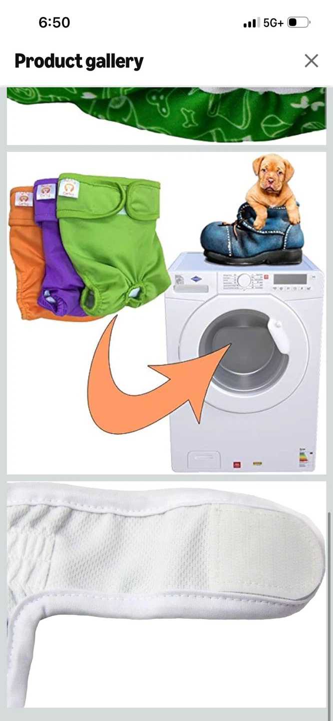 New- Petting Dog Reusable Diapers - Pack of 4