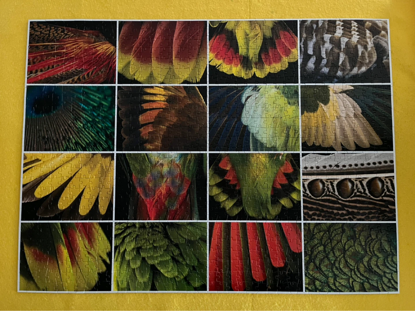 National Geographic 1000 Piece Puzzle - Feathered Fantasies - photo 2