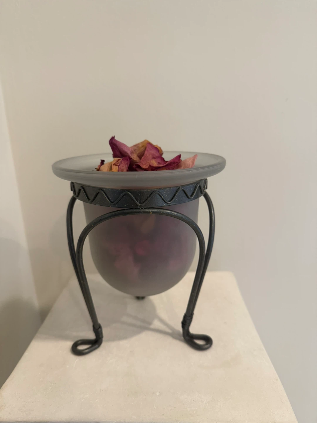 Frosted Glass with Metal/Rod Iron Stand -Reduced!