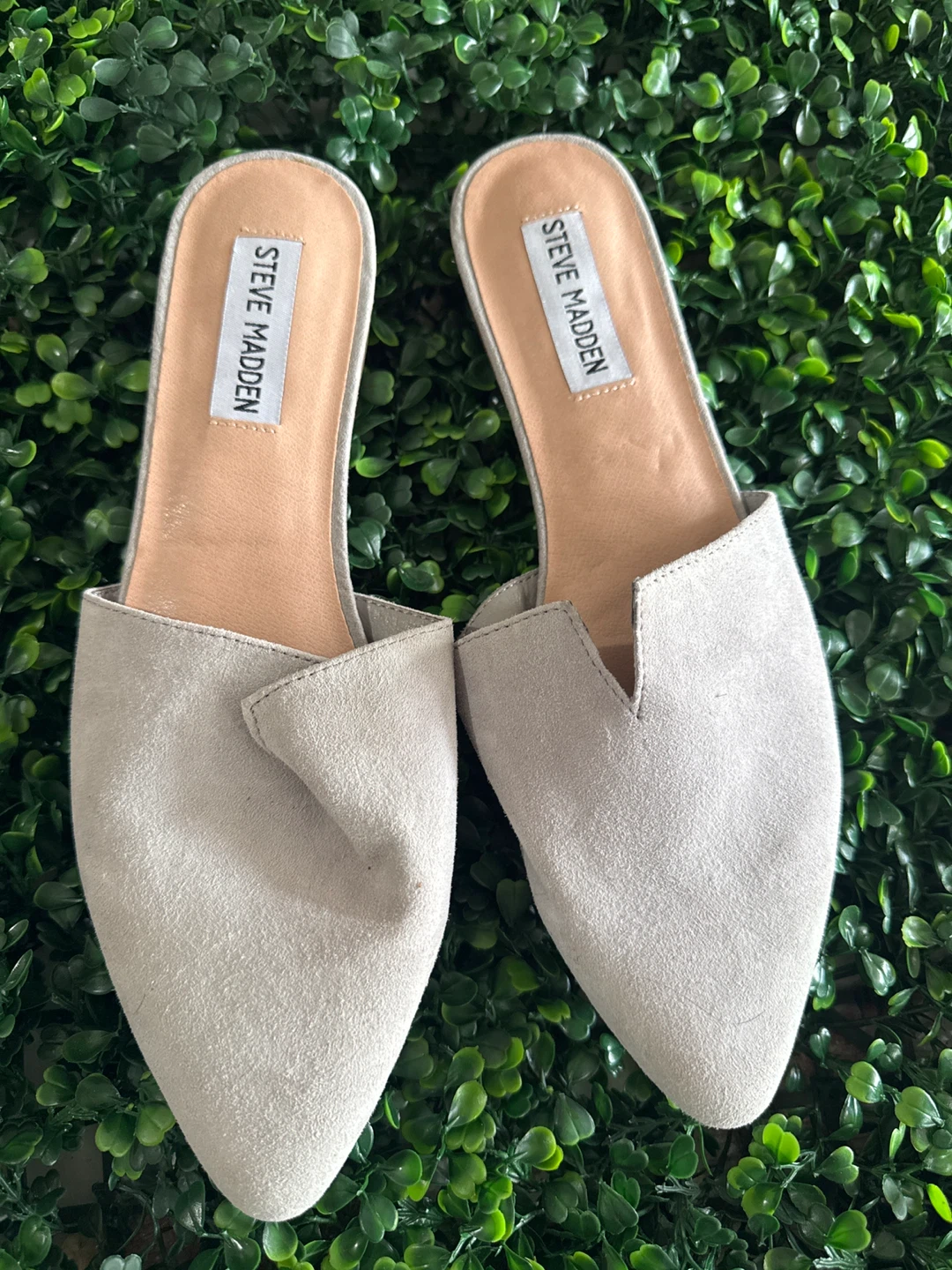 Steve Madden Grey Suede Pointed Toe Mules - Size 8 - photo 3
