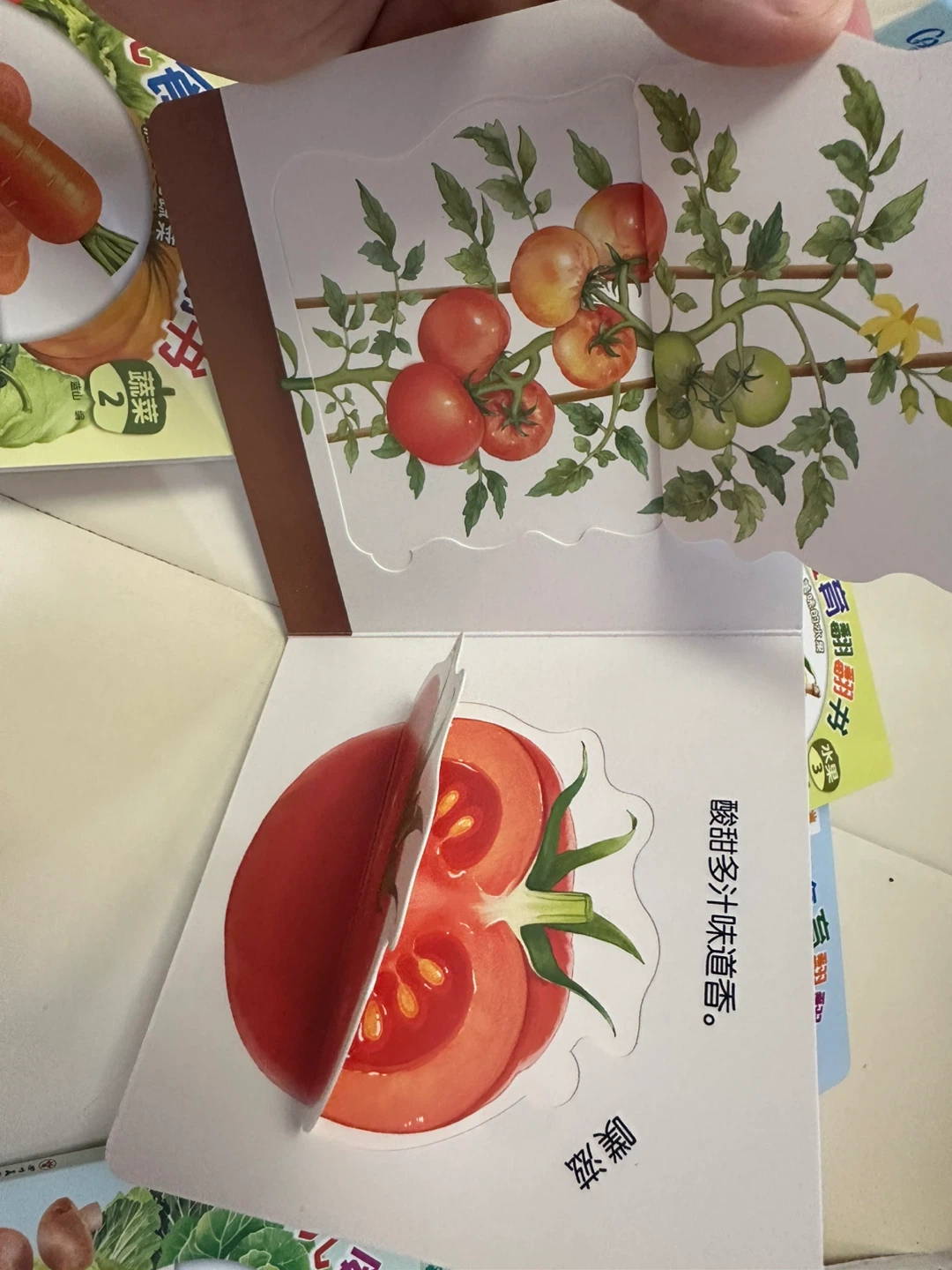 Set of 9 Baby's First Vegetable and Fruit Board Books - photo 2