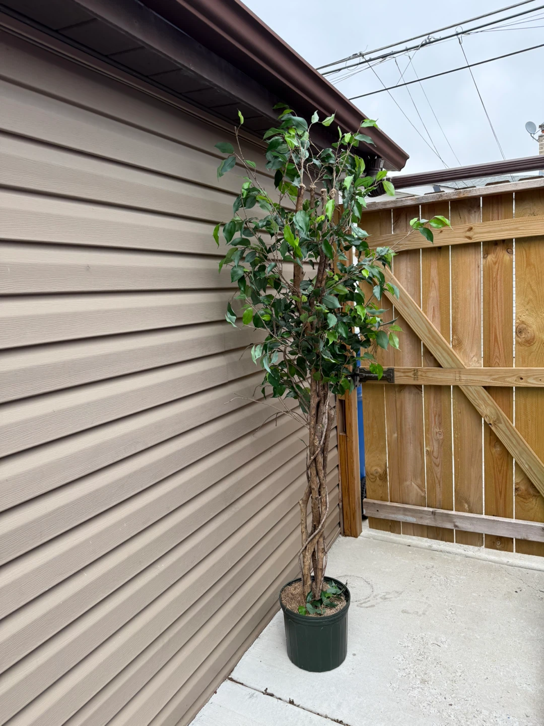 Artificial Fiddle Leaf Fig Tree