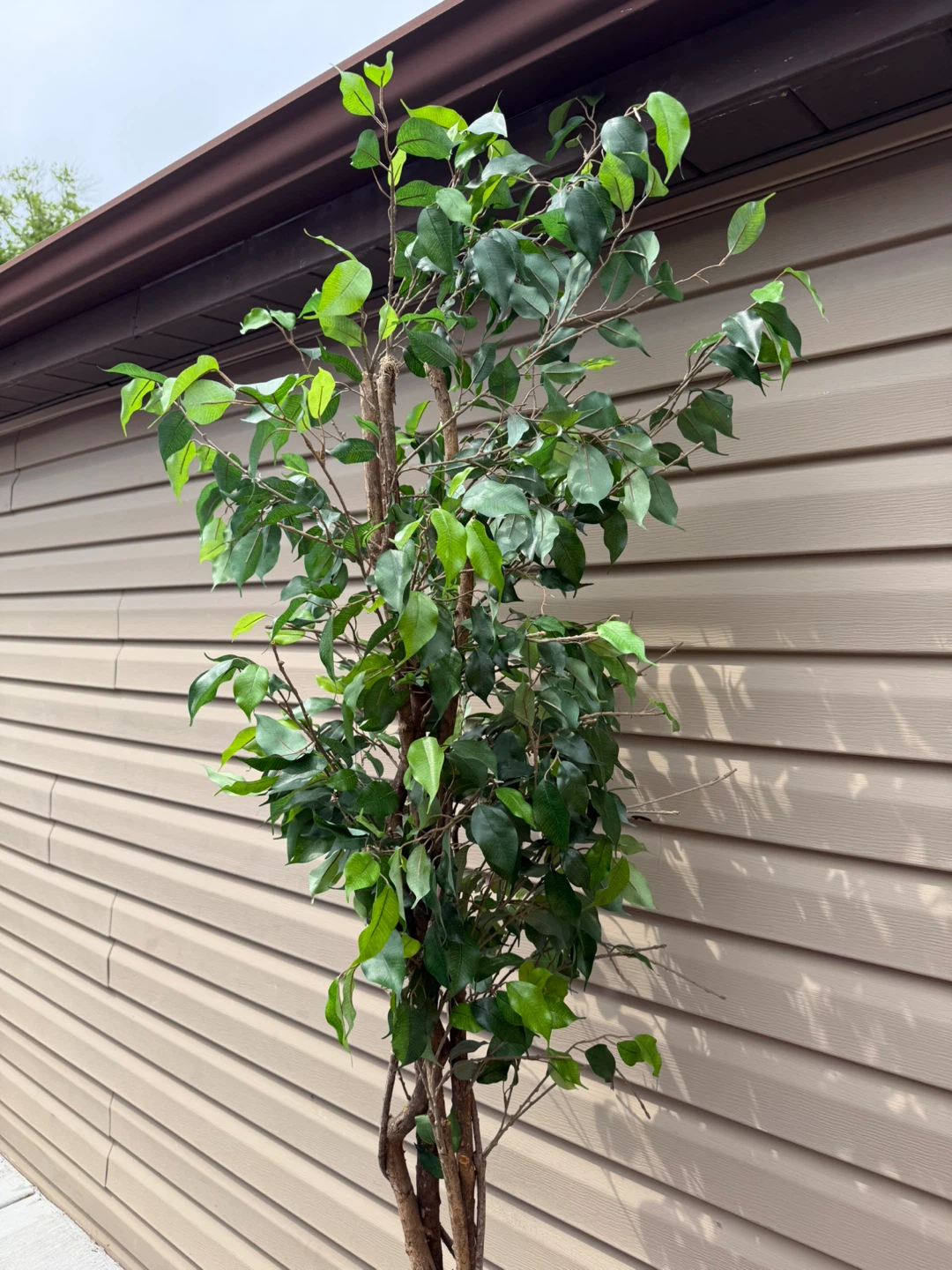Artificial Fiddle Leaf Fig Tree - photo 2