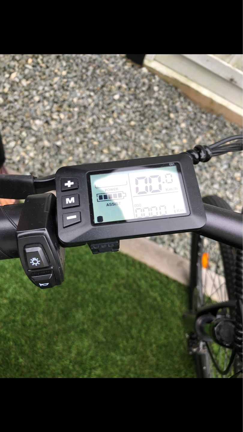 Ishinwheel Electric Bike - photo 4