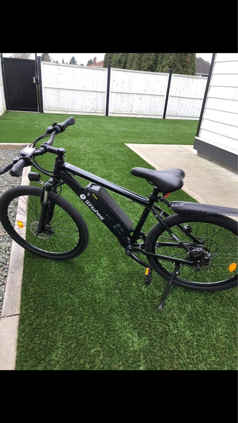 Ishinwheel Electric Bike