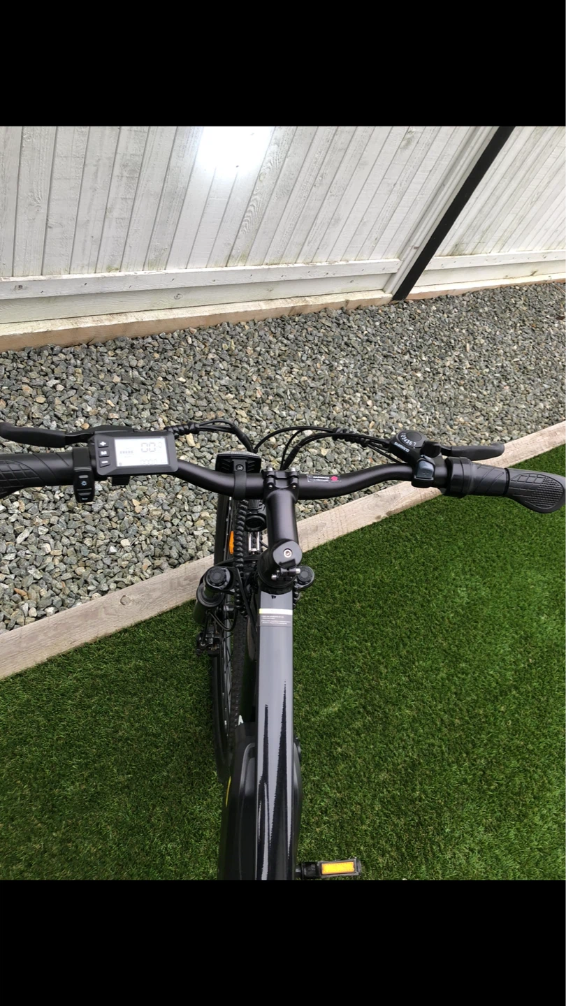 Ishinwheel Electric Bike - photo 2