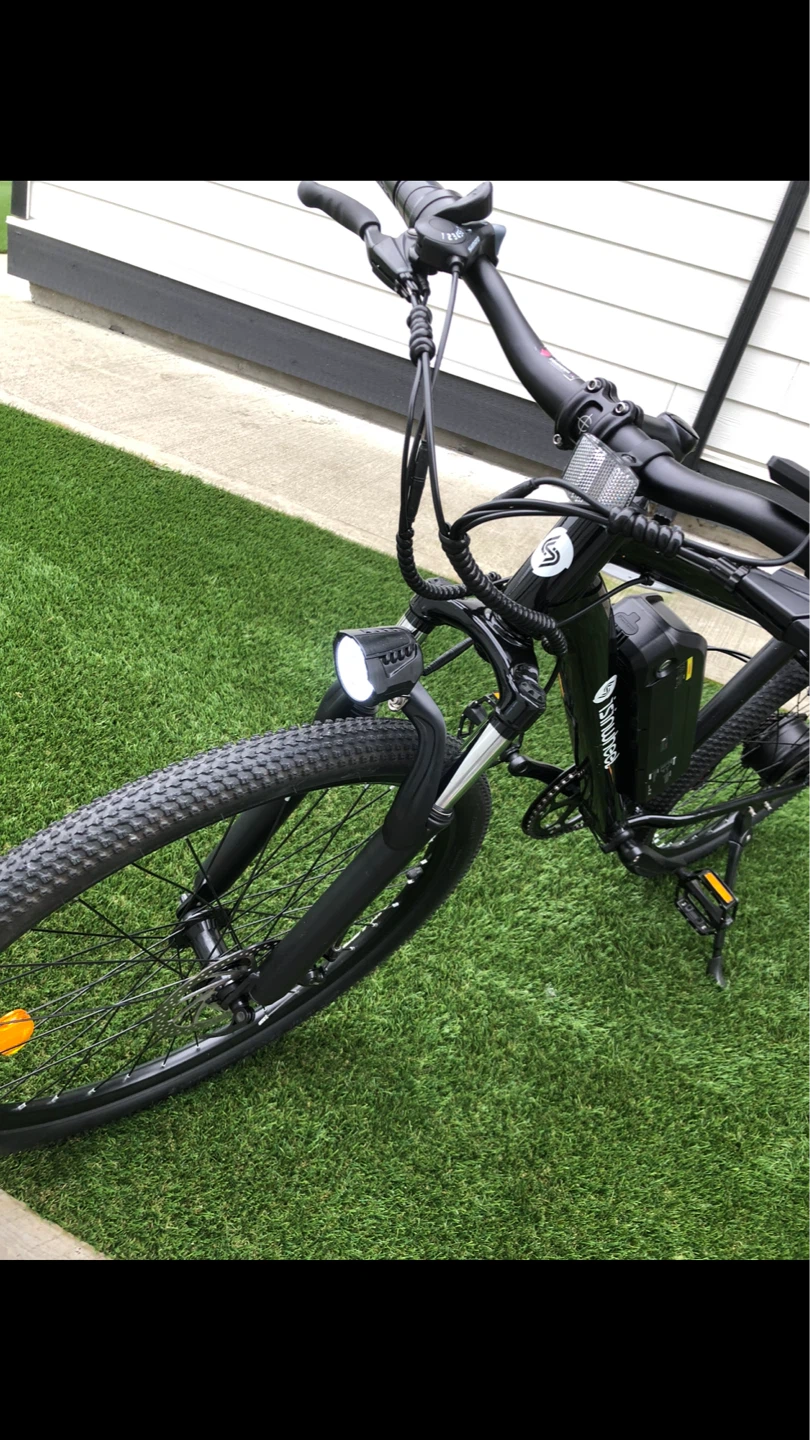 Ishinwheel Electric Bike - photo 3