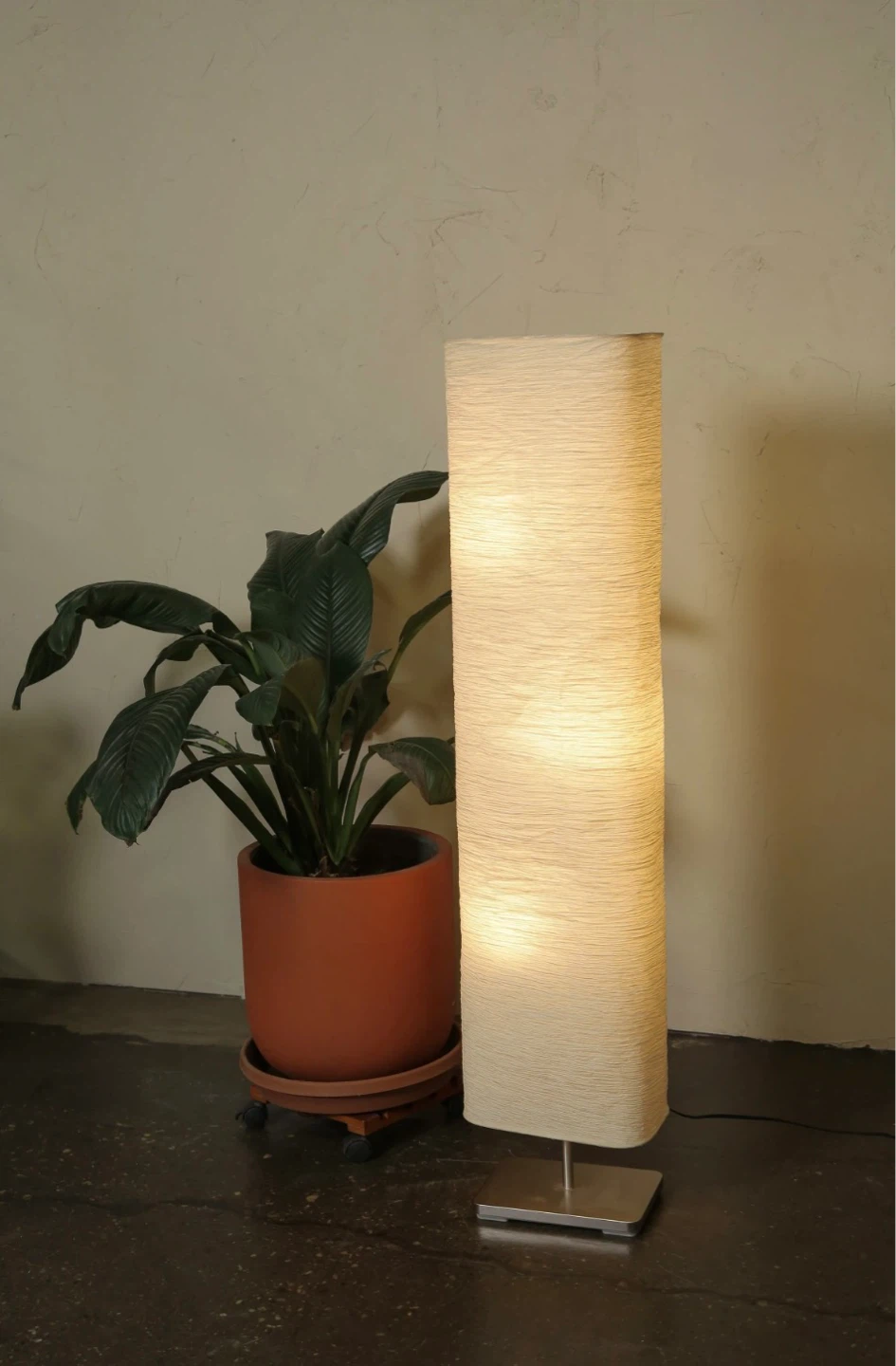 3 Lamps - moving sale!
