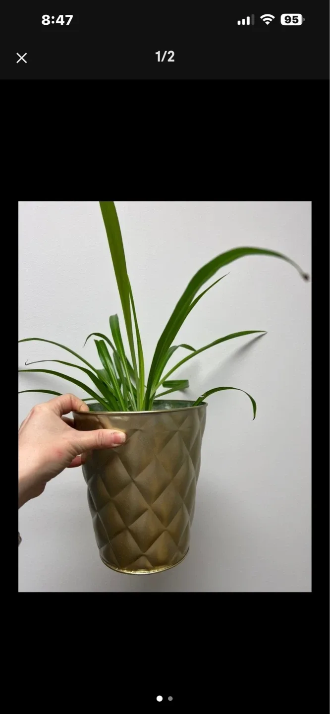 Gold Diamond Pattern Planter