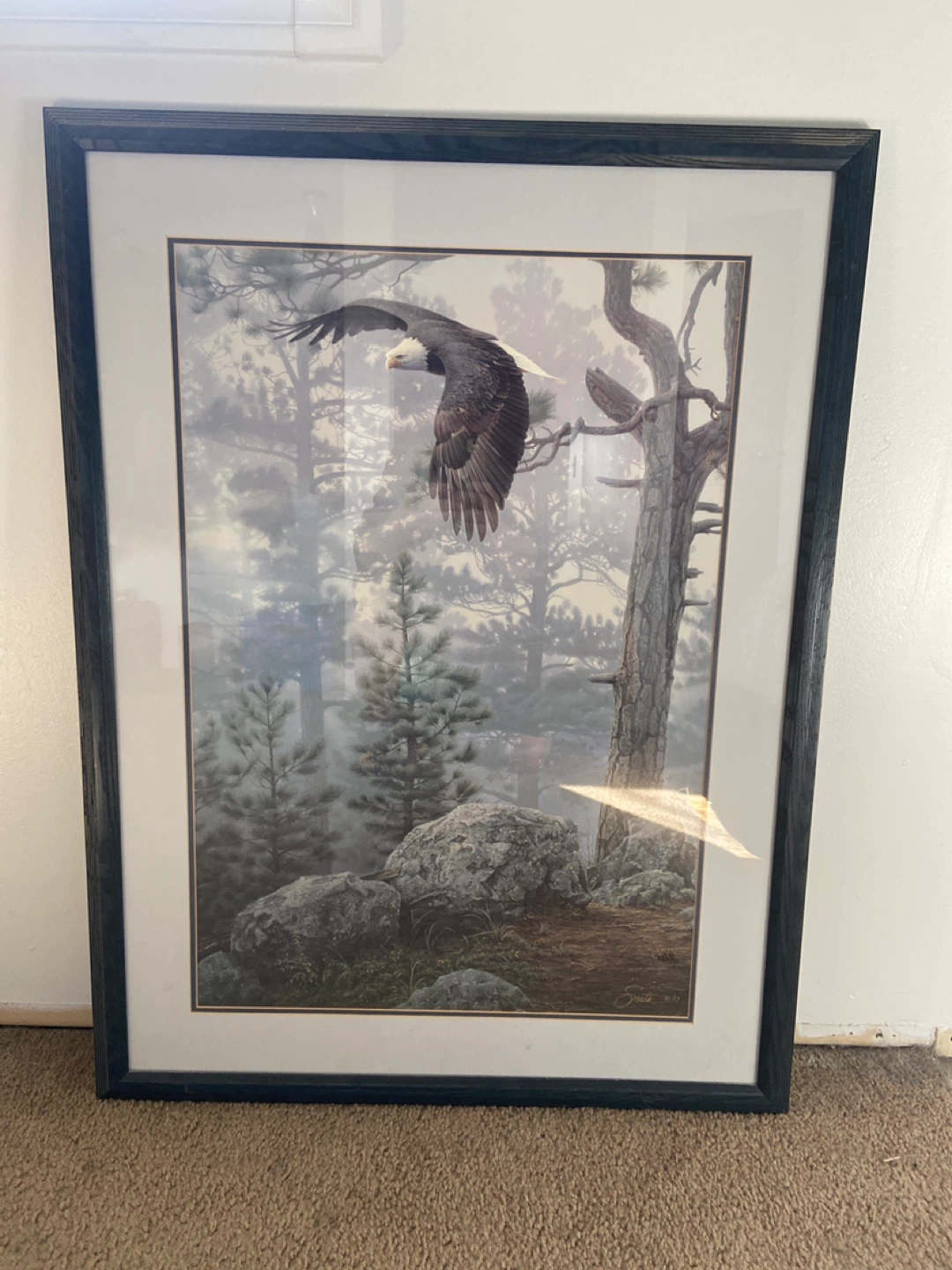 Framed Bald Eagle Art Print