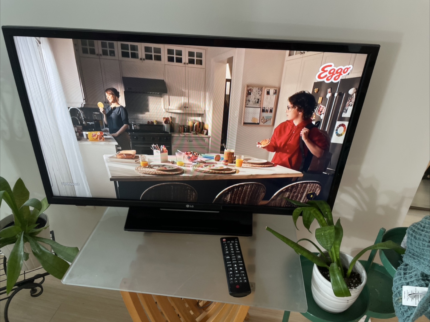 LG screen with remote control 29x17 in