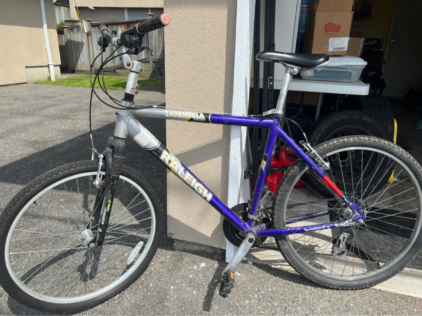 Raleigh Tarantula Mountain Bike