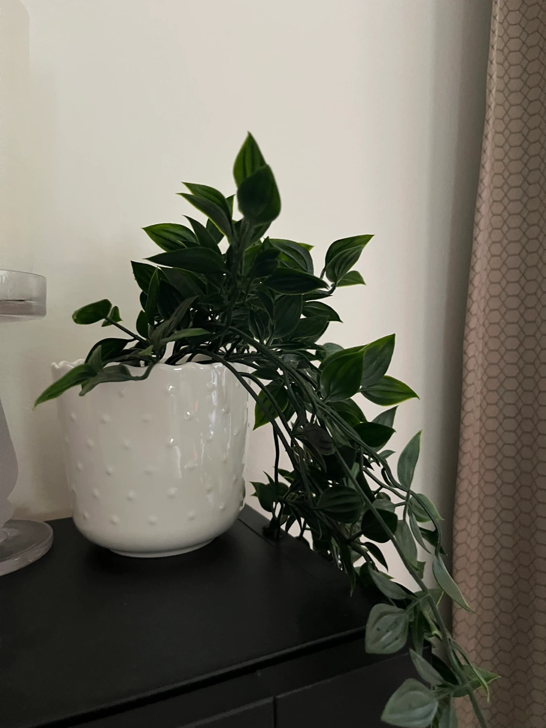 Faux Hanging Plant in White Textured Pot - photo 2