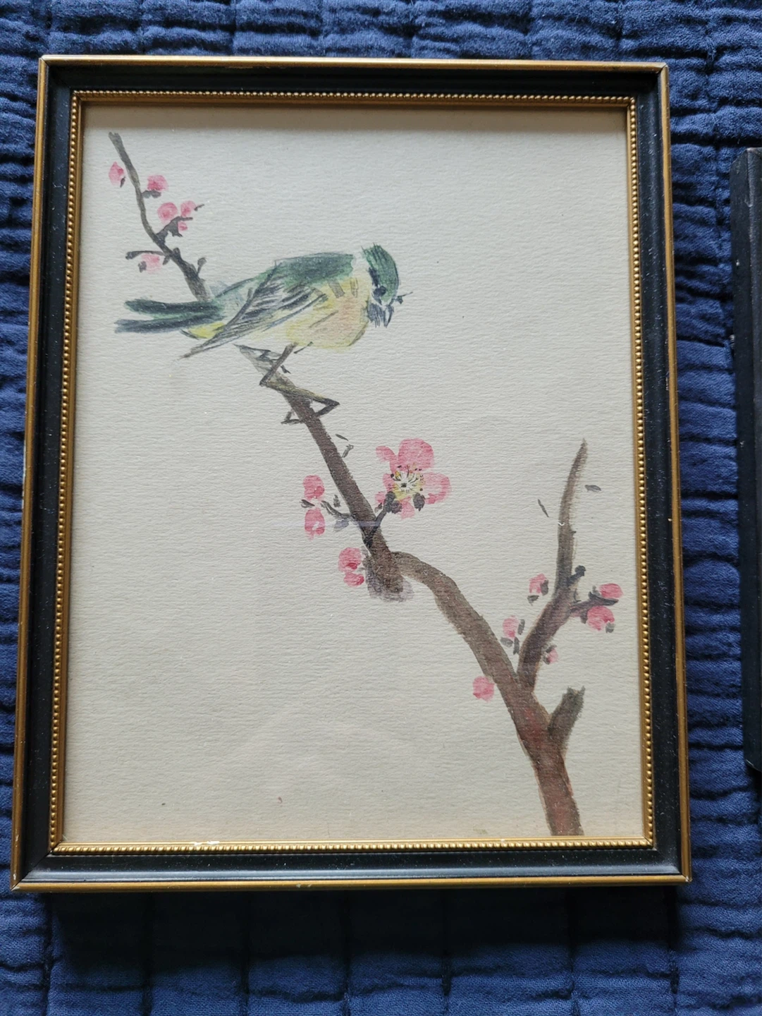 Framed Bird watercolors - Set of 2 - photo 3