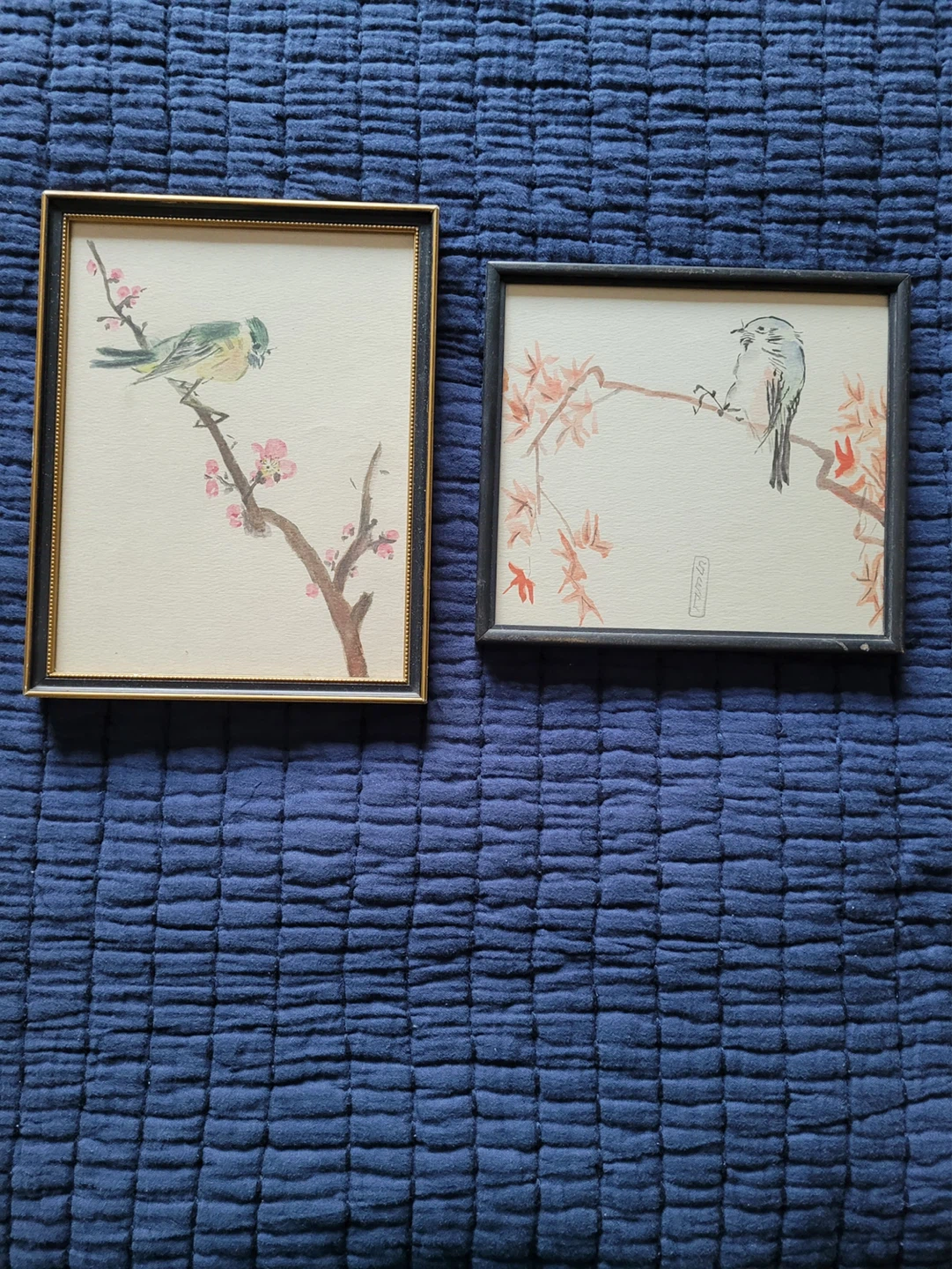 Framed Bird watercolors - Set of 2