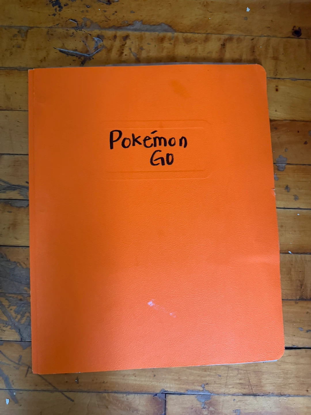 Folder of incomplete Pokémon go collection