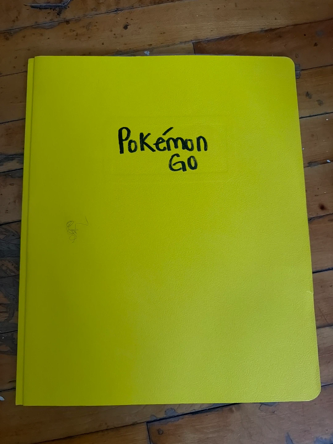 Pokémon GO Trading Card Binder Collection