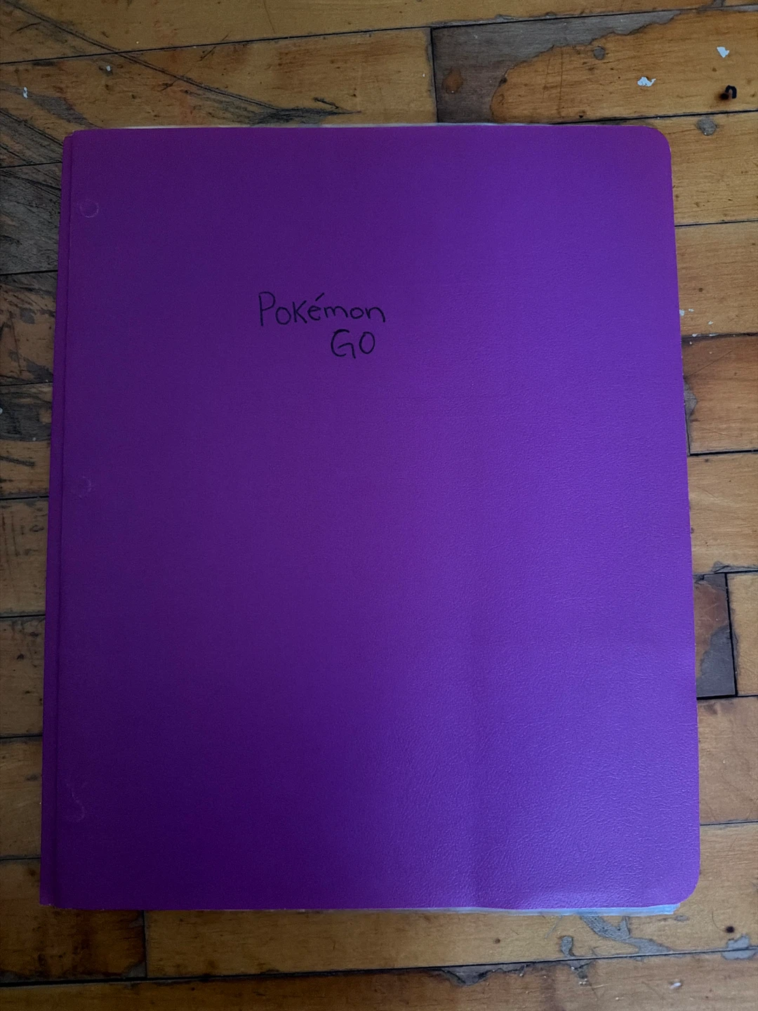 Pokémon GO Trading Card Collection Binder