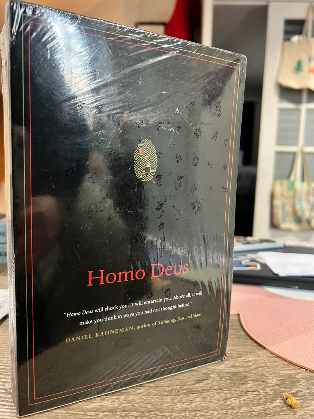 Sapiens/Homo Deus Boxed Set - photo 3