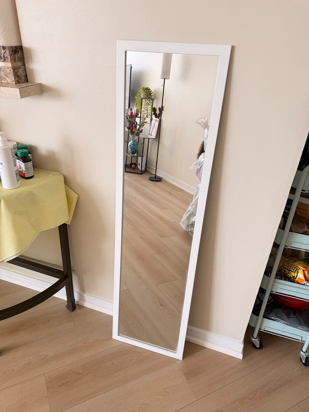 Standing  Mirror