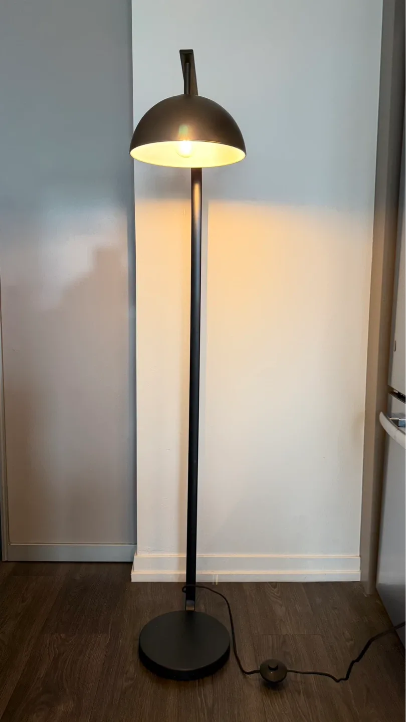 Modern Dome Floor Lamp - photo 2