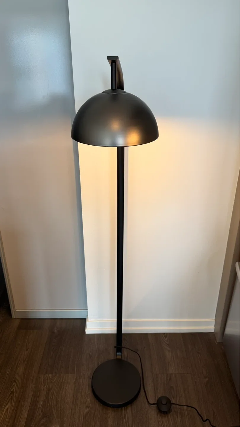 Modern Dome Floor Lamp
