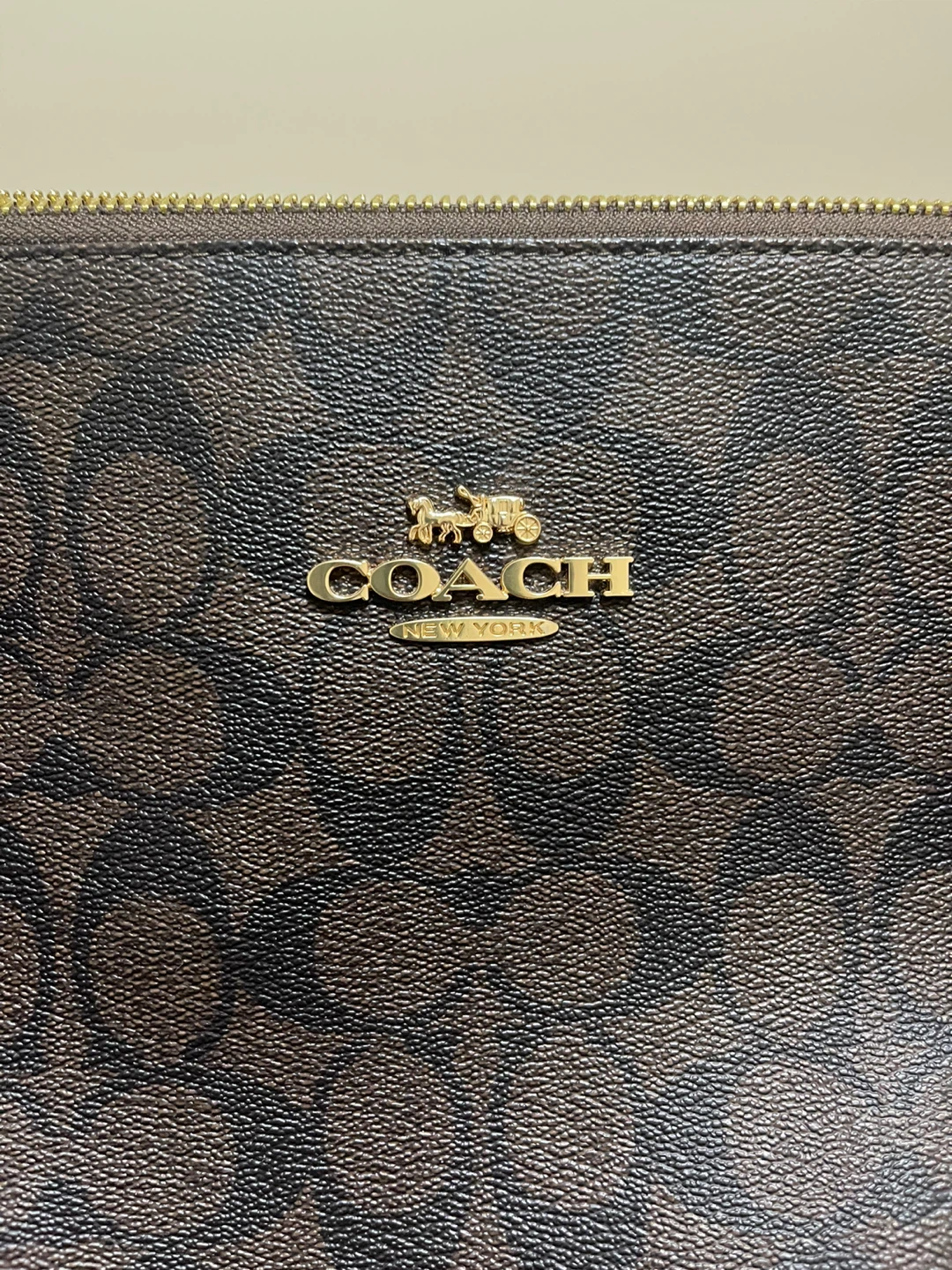 Coach Signature Tote Bag