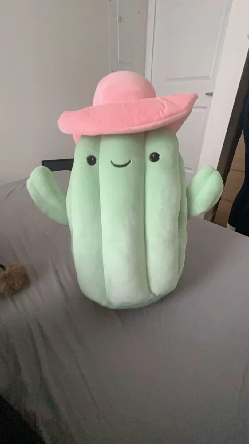 Smoochy pals Plush Cactus Toy with Pink Hat