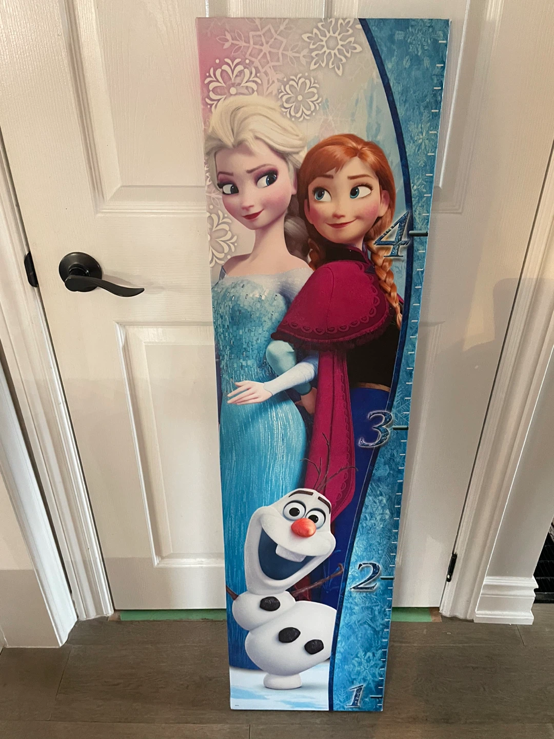 Disney Frozen Growth Chart Canvas Frame