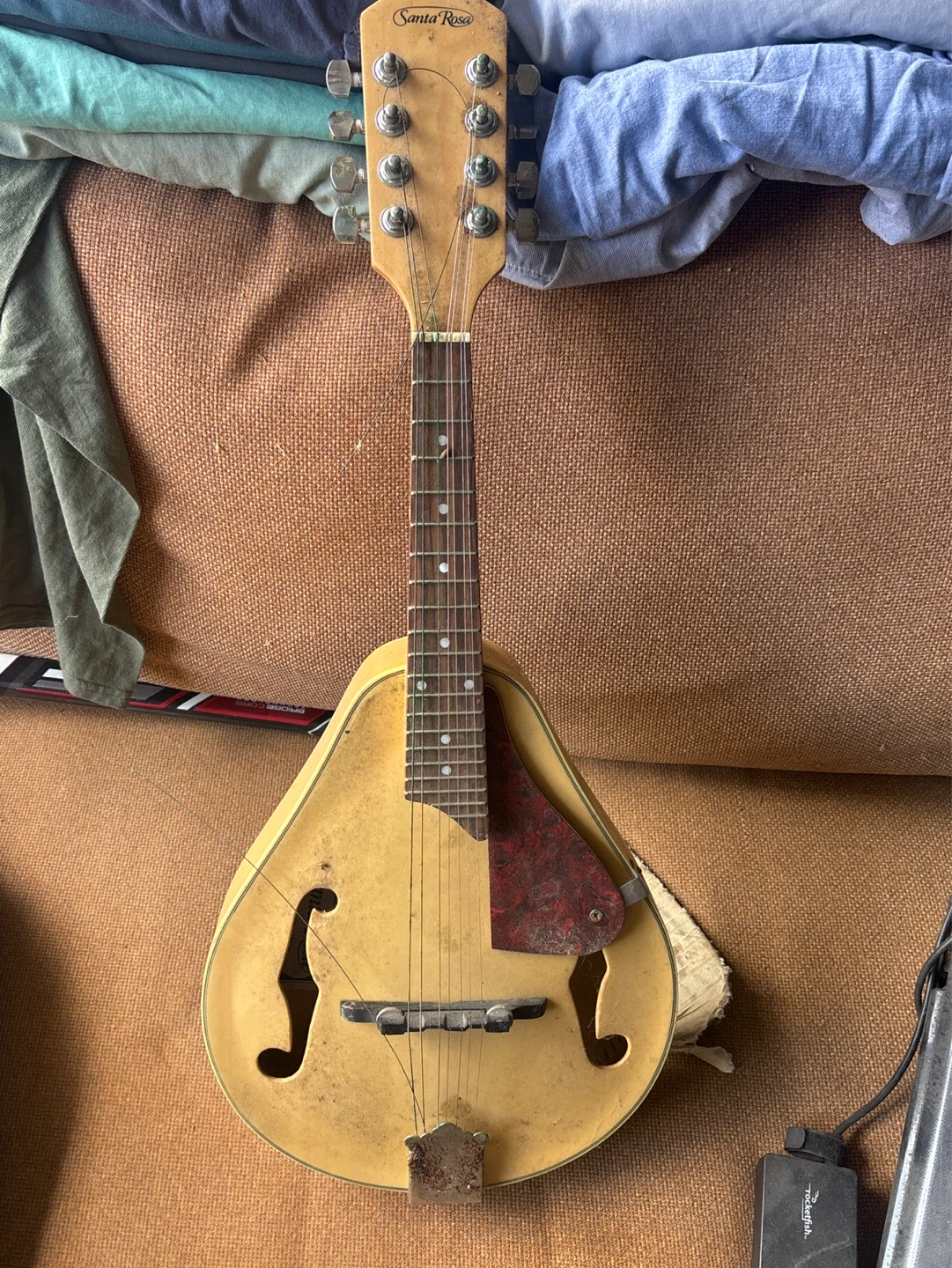 Santa Rosa Mandolin