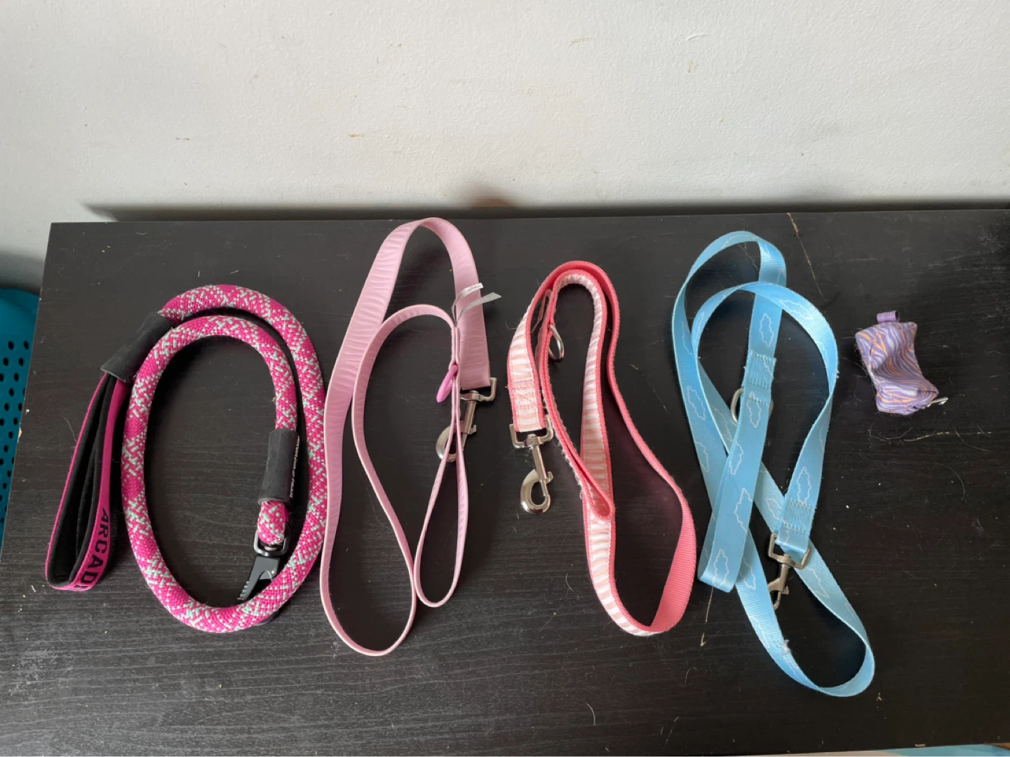Large Dog Leashes Lot